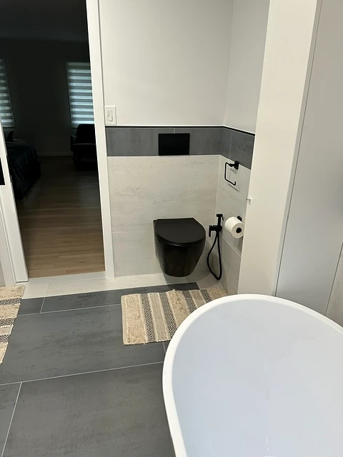 Bathroom renovation — glass shower